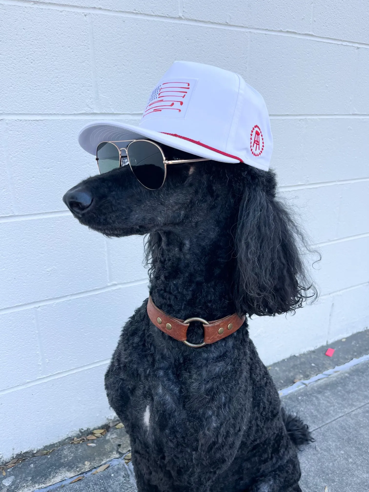 Barstool Hats