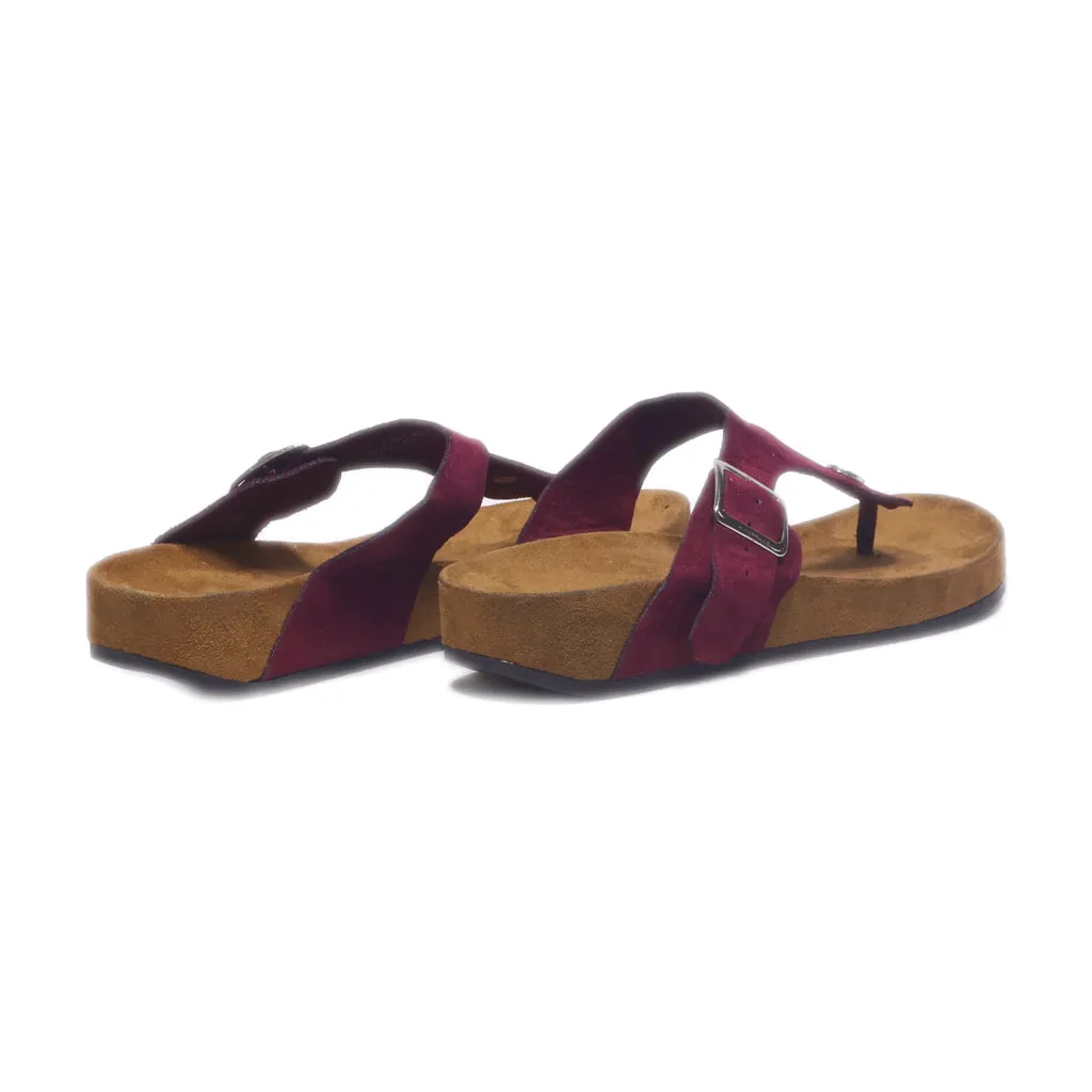 Graceland Flat Sandals Suede Burgundy Colour For Women